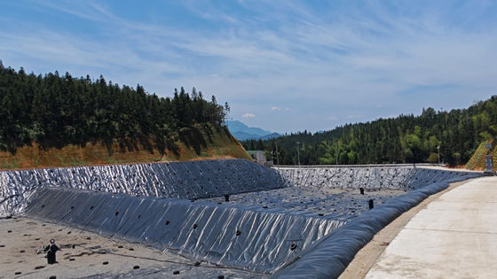 Hochdichte Polyethylen-Glanz-Geomembran Die perfekte Lösung für chemische Resistenz