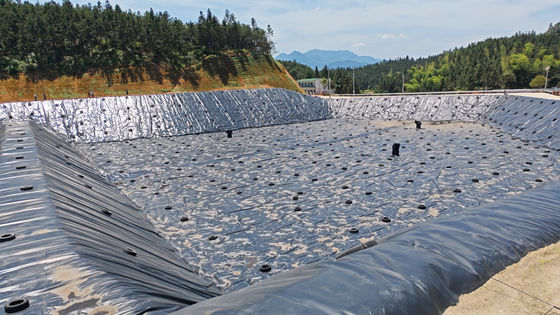 Hochdichte Polyethylen-Glanz-Geomembran Die perfekte Lösung für chemische Resistenz