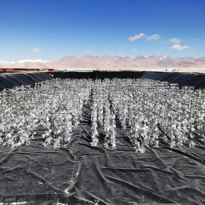 Säure- und Alkalibeständiges, Rissbeständiges HDPE-Glatte Geomembran für das Anti-Seepage-Projekt