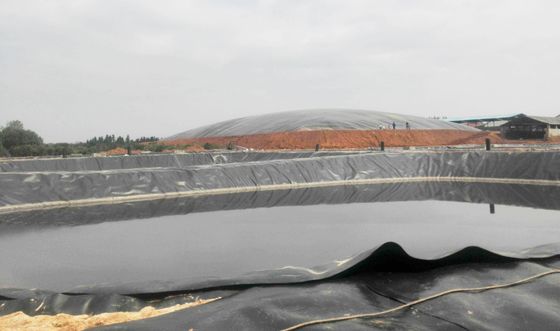 Anti-Seepage HDPE Glatte Geomembran für Landwirtschaftsprojekte Fische Teich Auskleidungen Breite 1m-9m Länge 30-100m Dicke>0,5mm