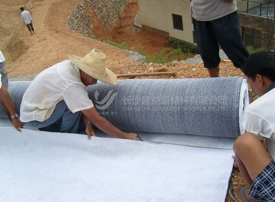 Bentonit Gcl Geosynthetische Tonfolie für wasserdichte und undurchlässige Bedürfnisse