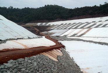 Tri-Dimensionale Verbundgeogitter 200g/m²