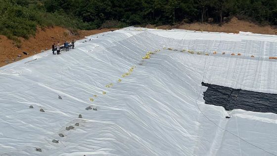 Optimale Drainage 3D-Verbund-Drainage-Netzbreite 2m-6m Zugfestigkeit ≥16kN/m für Oberflächen- und Unterflächengewässer
