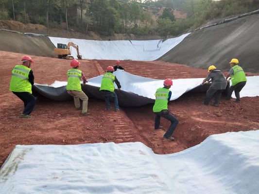 Optimale Drainage 3D-Verbund-Drainage-Netzbreite 2m-6m Zugfestigkeit ≥16kN/m für Oberflächen- und Unterflächengewässer