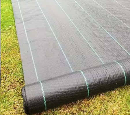 Ausgezeichnete Filtration und Drainage Schwarzes Polypropylen Geotextil