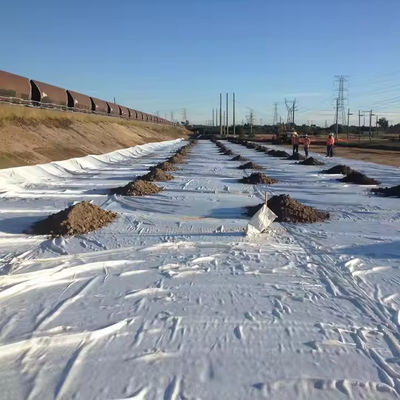 Dauerhaftes Gewebe aus Geotextil mit schwarzer Verstärkung