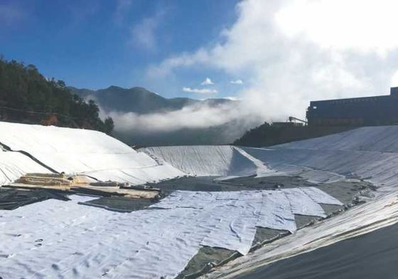 Umweltfreundlicher, ungiftiger, langlebiger geosynthetischer Tonliner für Wasserwirtschafts- und Landschaftsprojekte